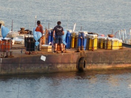 Pokazy pirotechniczne
